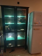 Witryna czarna, IKEA , światła Led