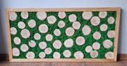 Dębowa ramka, obraz z mchu chrobotek handmade, prezent 