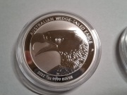 Orzeł Australijski 2022, Australian Wedge Tailed Eagle 1 oz uncja srebra