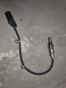 Sonda lambda Opel GM55579019