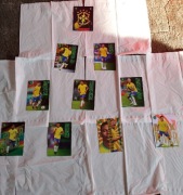 9 kart +1 herb z Brazylii z kolekcji top&class