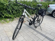 Rower damski XL Sabotage Extreme 