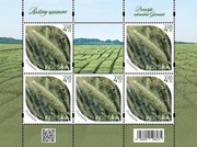 Arkusik Fi-5458 Rośliny uprawne   .