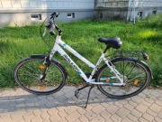 Rower trekkingowy Raleigh Discovery