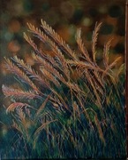 Trawy 40x50 cm Akryl na płótnie