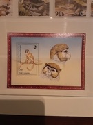 Gambia 1993 Mi blok 186  małpa  czysty idealny 