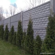 Ogrodzenia betonowe płyty słupki 