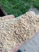 Pasza na kur niosek, bogaty skład, kaczek,gesi