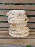 Plaster plastry dąb dębowy naturalny cena za 10 sztuk 20 cm 25 cm 30 cm 