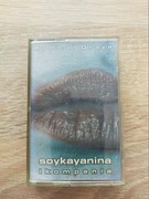 SOYKA YANINA I KOMPANIA - Radical Graża - 1993 MC - Stanisław Sojka