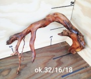 Korzeń Premium do akwarium, terrarium.Mokry.Gotowy do akwarium