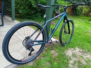 Octane One Prone custom Slx dt swiss