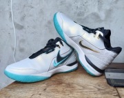 buty NIKE LeBron NXXT Gen AMPD Liverpool (43 / 27,5cm) NBA koszykówka