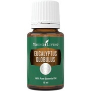 olejek Eukaliptus Globulus 15ml