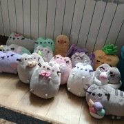 Pusheen maskotki orginalne 