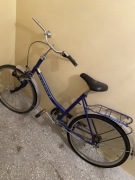 Rower miejski grantowy