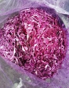 kapusta  szatkowana czerwona 5kg