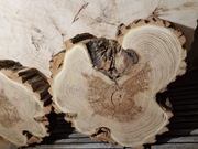 AKACJA ROBINIA 52/46/9 cm Po Suszarni Blat Plaster Drewna Stolik DIY Suchy