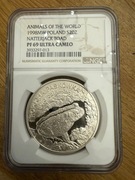 PF 69 20 zł - ROPUCHA - MAX nota piękna