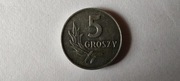 Polska 5 gr groszy, 1963 r. (L38)
