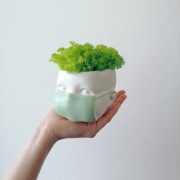 Wyjątkowa doniczka na rośliny, maseczka na twarz  