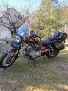 Yamaha Virago 125cm