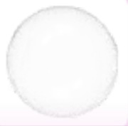 Human Bubble - Adopt Me Roblox