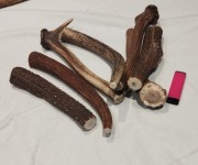 Poroże naturalny Gryzak  dla psa  zabawka 19-26cm 