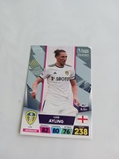 Sprzedam karte panini premier league 174