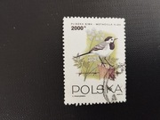 Fi 3311 Ptaki / Rocznik 1993