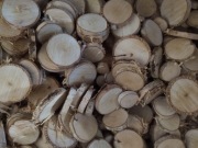 Plasterki brzozy krążki drewna 3-5 cm 60 szt 