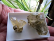 Gips - dwa kryształy w pudełku 