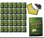 Pułapka, lep na myszy, szczury, zestaw 30szt.