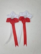 Kotyliony dzień niepodległości akademia szkolna 