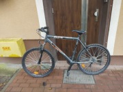 Rower Kross hexagon v2