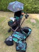 Mega zestaw Cybex Priam  Birds of Paradise gondola i spacerowka