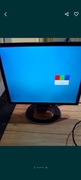 Monitor prolite ilyama 22 całe 55 cm 