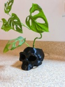 Doniczka osłonka czaszka głowa 15x13x10cm