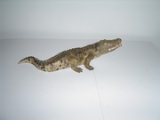 NOWA FIGURKA SCHLEICH KROKODYL ZABAWKA DLA DZIECKA