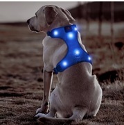 Szelki LED dla psa – świecące, regulowane, bezuciskowe