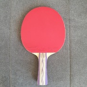 Rakietka do tenisa stołowego 