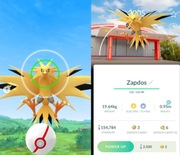 Zapdos Kanto Park Japonia | Unikalne Tło | Możliwy Shiny | Pokémon GO