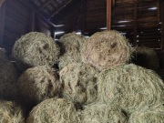 Sprzedam siano z 2025
