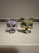 Littlest pet shop pieski