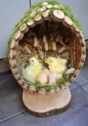 Stroik wielkanocny duże jajko z krążków drewnianych mech kurczaczki jajka