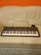 Organy CASIO CTK-450