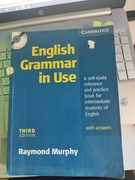 English Grammar in Use 3ed + CD RO