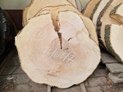 22 JESION 70/63/7 cm Blat Plaster Drewna Stolik Żywica Epoxy DIY Live Edge