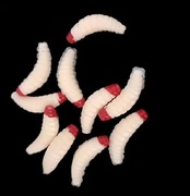 Larwy 5 sztuk , 2cm , kolor kremowy 