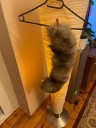 Kołnierz - etola, lis srebrno - szary. Futro naturalne.